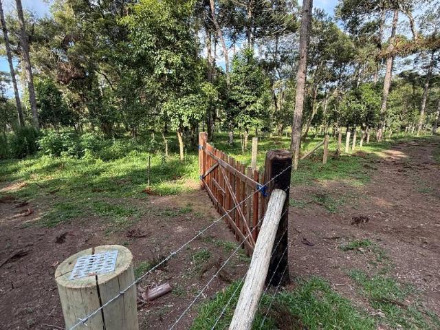 Terreno venda em Campo Alegre, Região Geográfica Intermediária de Joinville