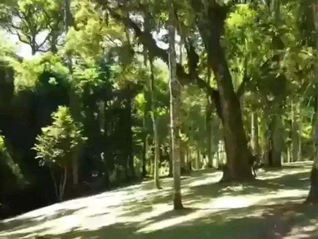 Terreno venda em Região Geográfica Imediata de São Bento do Sul-Rio Negrinho, Campo Alegre