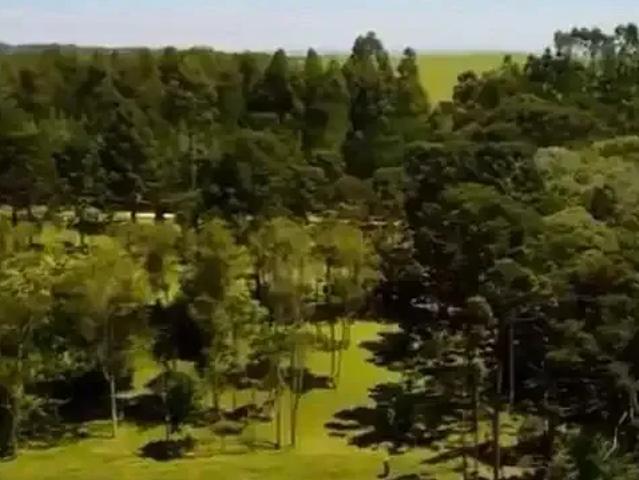 Terreno venda em Região Geográfica Imediata de São Bento do Sul-Rio Negrinho, Campo Alegre