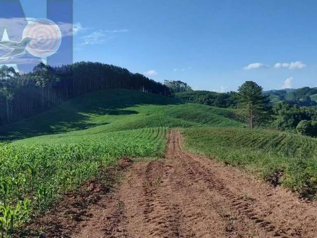 Terreno venda em Região Geográfica Imediata de São Bento do Sul-Rio Negrinho, Campo Alegre