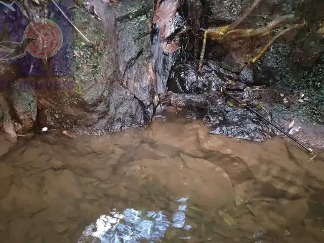 Terreno venda em Região Geográfica Imediata de São Bento do Sul-Rio Negrinho, Campo Alegre