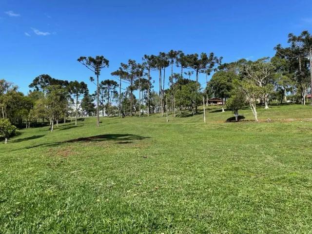 Terreno venda em Região Geográfica Imediata de São Bento do Sul-Rio Negrinho, Campo Alegre