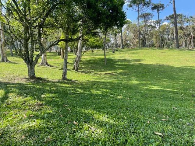 Terreno venda em Região Geográfica Imediata de São Bento do Sul-Rio Negrinho, Campo Alegre