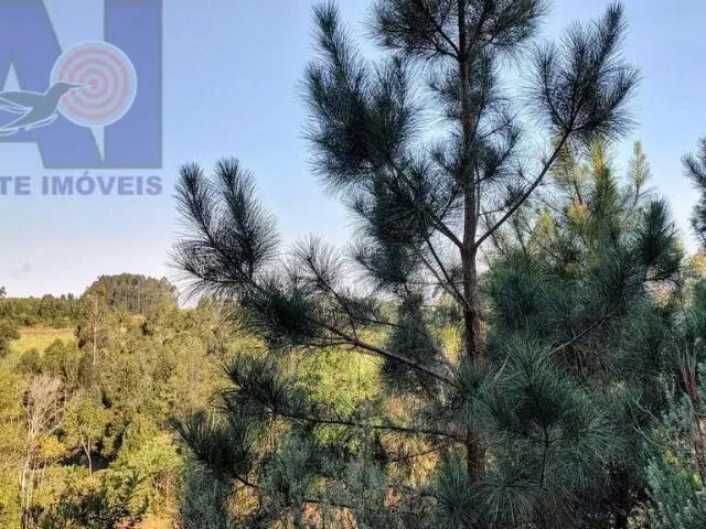 Terreno venda em Região Geográfica Imediata de São Bento do Sul-Rio Negrinho, Campo Alegre