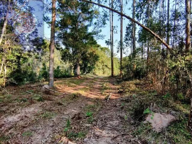 Terreno venda em Região Geográfica Imediata de São Bento do Sul-Rio Negrinho, Campo Alegre