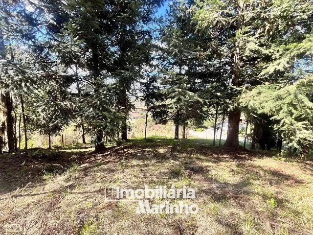 Terreno venda em Região Geográfica Imediata de São Bento do Sul-Rio Negrinho, Campo Alegre