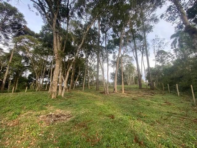 Terreno venda em Região Geográfica Imediata de São Bento do Sul-Rio Negrinho, Campo Alegre