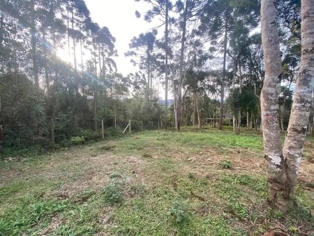 Terreno venda em Região Geográfica Imediata de São Bento do Sul-Rio Negrinho, Campo Alegre