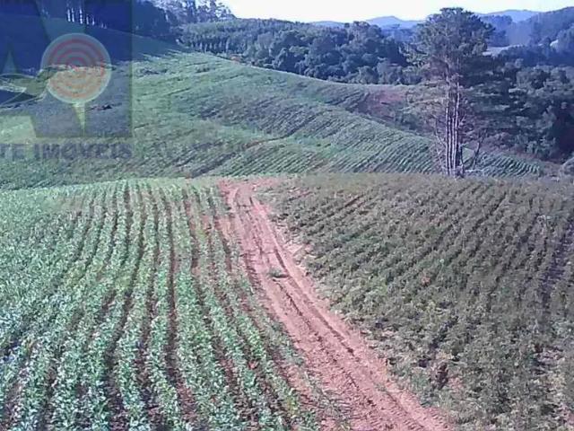 Terreno venda em Região Geográfica Imediata de São Bento do Sul-Rio Negrinho, Campo Alegre