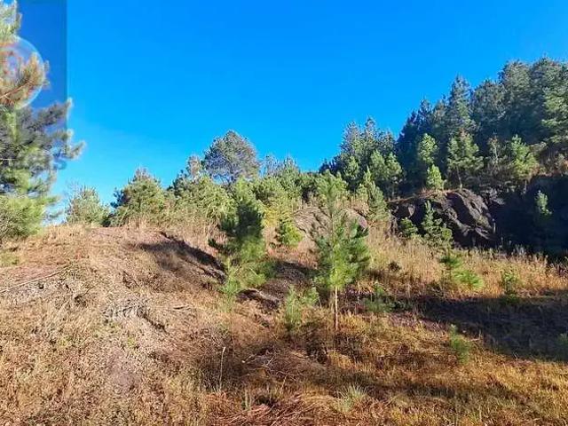 Terreno venda em Região Geográfica Imediata de São Bento do Sul-Rio Negrinho, Campo Alegre