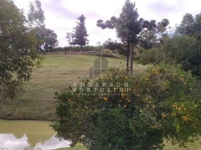 Terreno venda em Região Geográfica Imediata de São Bento do Sul-Rio Negrinho, Campo Alegre