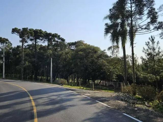 Terreno venda em Região Geográfica Imediata de São Bento do Sul-Rio Negrinho, Campo Alegre