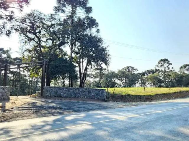 Terreno venda em Região Geográfica Imediata de São Bento do Sul-Rio Negrinho, Campo Alegre