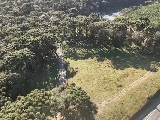 Terreno venda em Região Geográfica Imediata de São Bento do Sul-Rio Negrinho, Campo Alegre