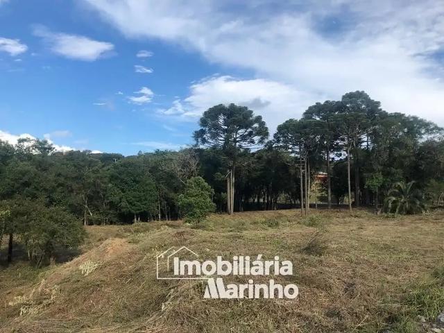 Terreno venda em Região Geográfica Imediata de São Bento do Sul-Rio Negrinho, Campo Alegre