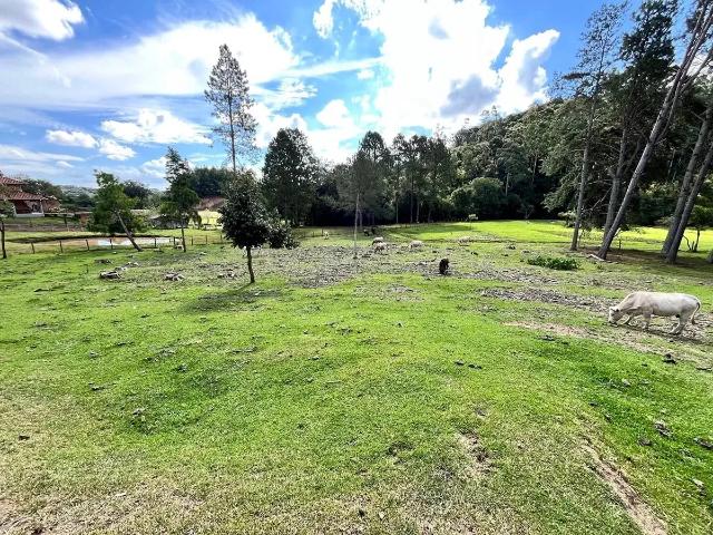 Terreno venda em Região Geográfica Imediata de São Bento do Sul-Rio Negrinho, Campo Alegre