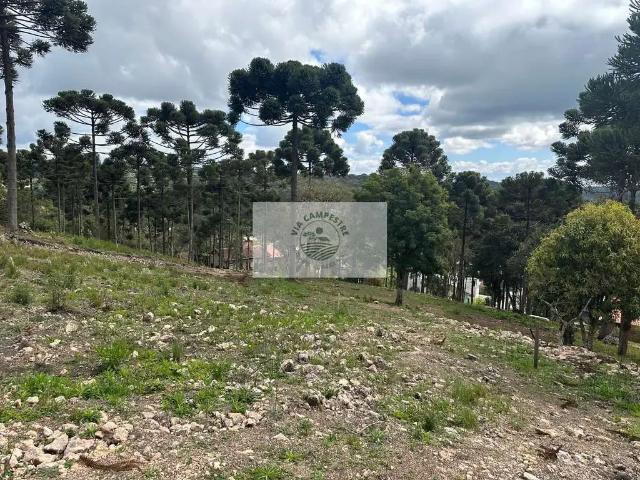 Terreno venda em Região Geográfica Imediata de Belo Horizonte, Região Metropolitana de Belo Horizonte
