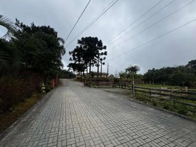 Terreno venda em Região Geográfica Imediata de São Bento do Sul-Rio Negrinho, Campo Alegre