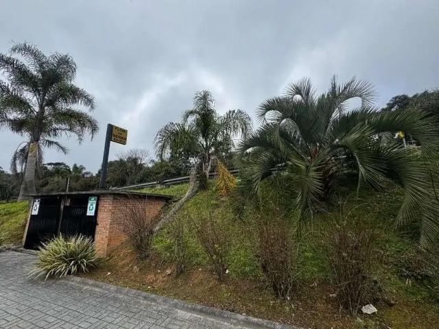 Terreno venda em Região Geográfica Imediata de São Bento do Sul-Rio Negrinho, Campo Alegre