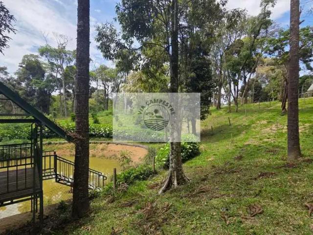 Terreno venda em Região Geográfica Imediata de São Bento do Sul-Rio Negrinho, Campo Alegre