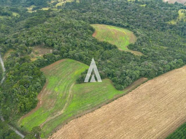 Terreno venda em Região Geográfica Imediata de São Bento do Sul-Rio Negrinho, Campo Alegre