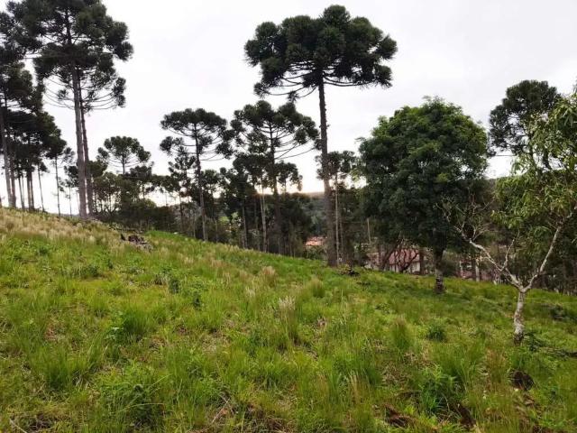 Terreno venda em Região Geográfica Imediata de São Bento do Sul-Rio Negrinho, Campo Alegre