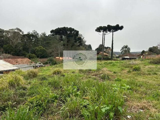 Terreno venda em Região Geográfica Imediata de São Bento do Sul-Rio Negrinho, Campo Alegre