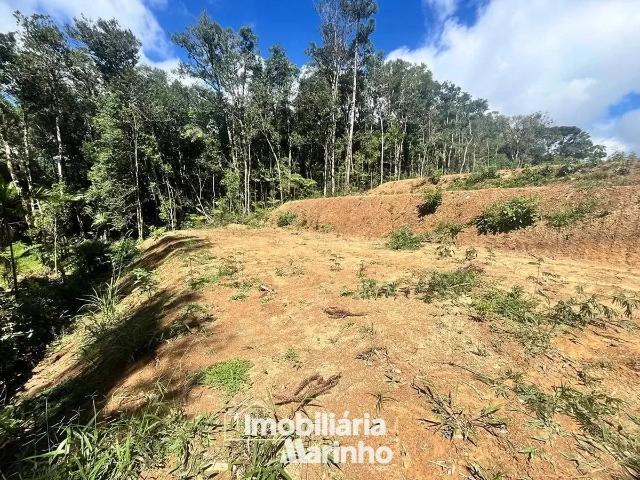 Terreno venda em Região Geográfica Imediata de São Bento do Sul-Rio Negrinho, Campo Alegre