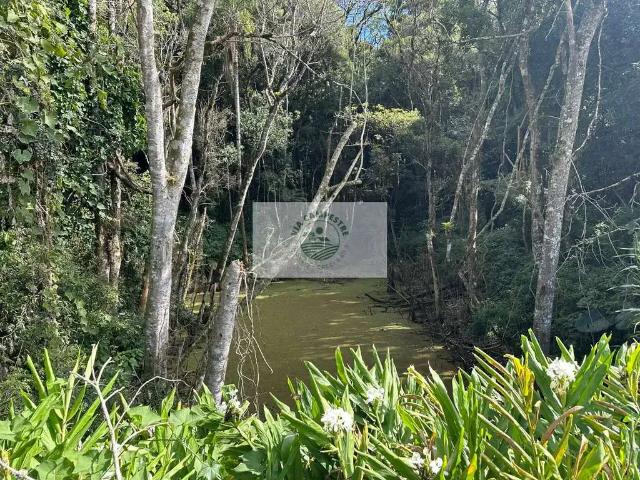 Terreno venda em Região Geográfica Imediata de São Bento do Sul-Rio Negrinho, Campo Alegre