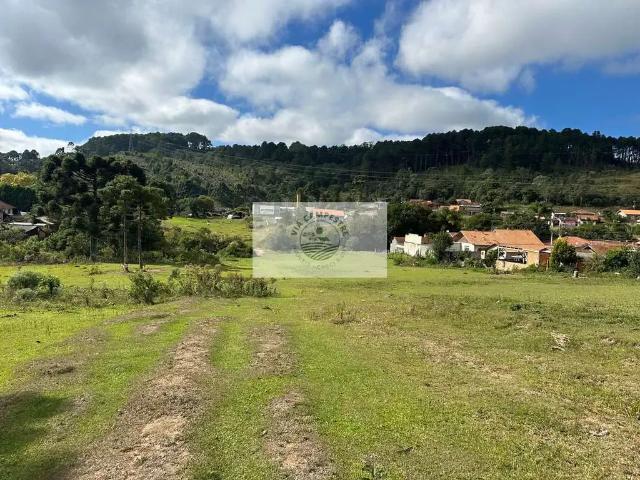 Terreno venda em Região Geográfica Imediata de São Bento do Sul-Rio Negrinho, Campo Alegre
