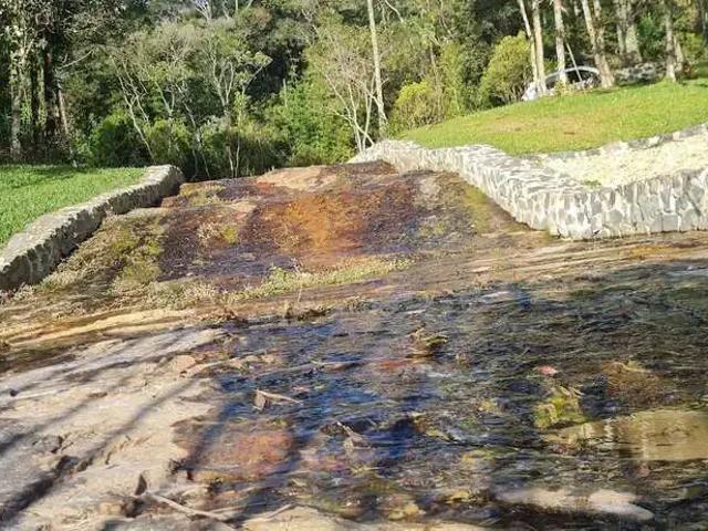 Terreno venda em Região Geográfica Imediata de São Bento do Sul-Rio Negrinho, Campo Alegre