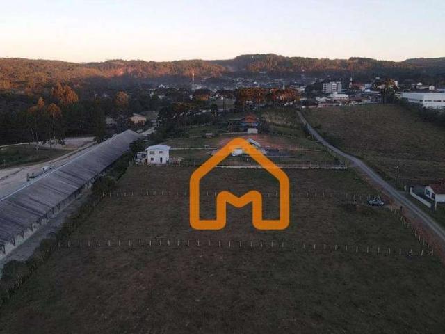 Terreno venda em Região Geográfica Imediata de São Bento do Sul-Rio Negrinho, Campo Alegre