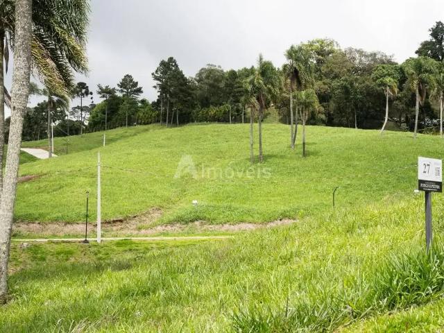 Terreno venda em Região Geográfica Imediata de São Bento do Sul-Rio Negrinho, Campo Alegre
