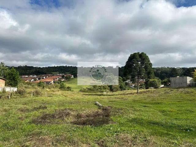 Terreno venda em Região Geográfica Imediata de São Bento do Sul-Rio Negrinho, Campo Alegre