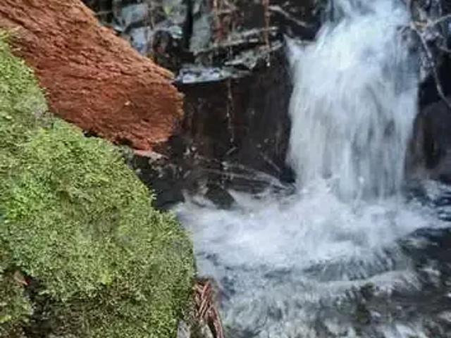 Terreno venda em Região Geográfica Imediata de São Bento do Sul-Rio Negrinho, Campo Alegre