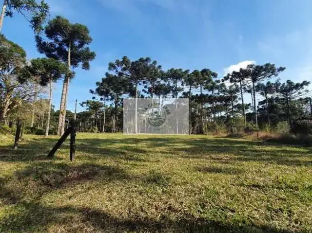 Terreno venda em Região Geográfica Imediata de São Bento do Sul-Rio Negrinho, Campo Alegre