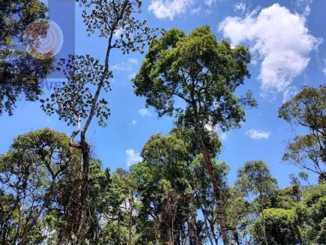 Terreno venda em Região Geográfica Imediata de São Bento do Sul-Rio Negrinho, Campo Alegre