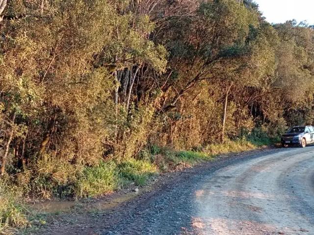 Terreno venda em Região Geográfica Imediata de São Bento do Sul-Rio Negrinho, Campo Alegre