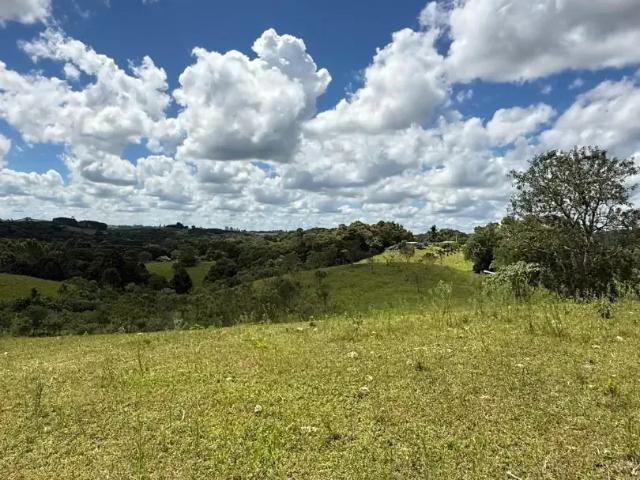 Terreno venda em Região Geográfica Imediata de São Bento do Sul-Rio Negrinho, Campo Alegre