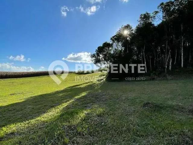 Terreno venda em Região Geográfica Imediata de São Bento do Sul-Rio Negrinho, Campo Alegre