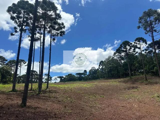 Terreno venda em Região Geográfica Imediata de São Bento do Sul-Rio Negrinho, Campo Alegre
