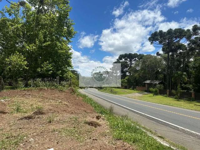 Terreno venda em Região Geográfica Imediata de São Bento do Sul-Rio Negrinho, Campo Alegre