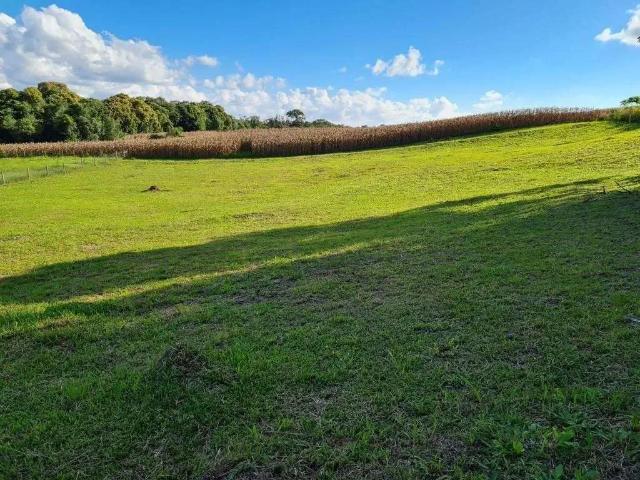 Terreno venda em Região Geográfica Imediata de São Bento do Sul-Rio Negrinho, Campo Alegre