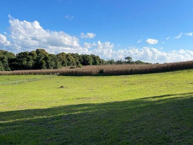 Terreno venda em Campo Alegre, Região Geográfica Intermediária de Joinville