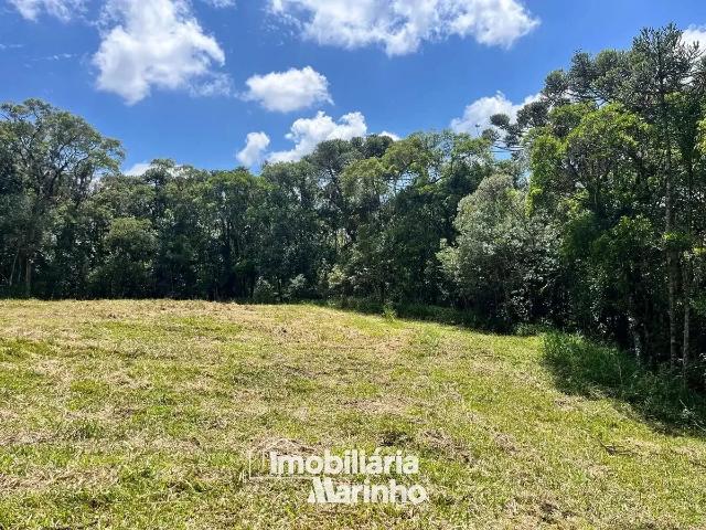 Terreno venda em Região Geográfica Imediata de São Bento do Sul-Rio Negrinho, Campo Alegre