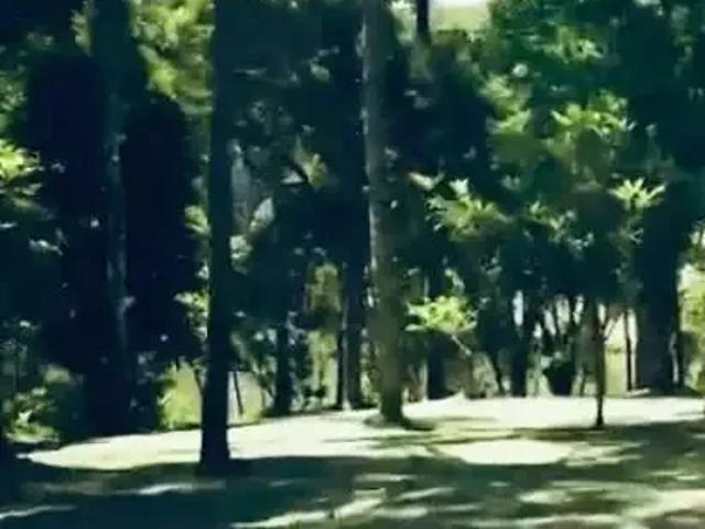 Terreno venda em Região Geográfica Imediata de São Bento do Sul-Rio Negrinho, Campo Alegre