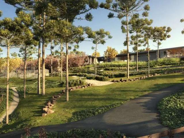 Terreno venda em Região Geográfica Imediata de São Bento do Sul-Rio Negrinho, Campo Alegre
