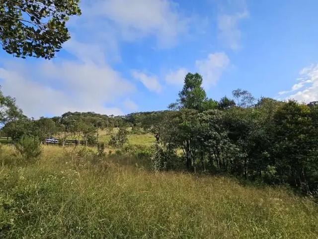 Terreno venda em Região Geográfica Imediata de São Bento do Sul-Rio Negrinho, Campo Alegre