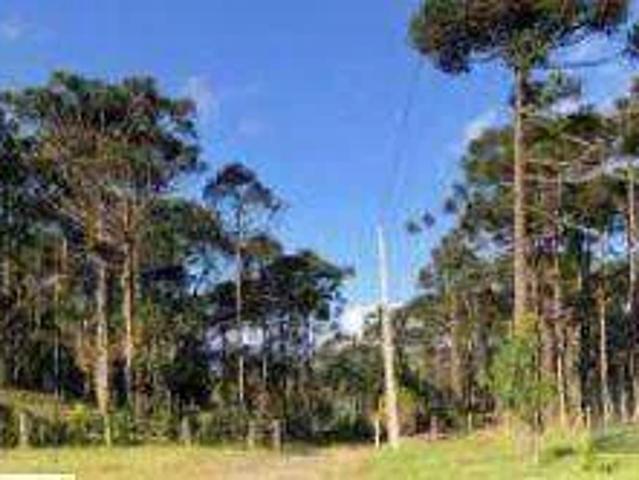 Terreno venda em Três Marias, Nova Iguaçu