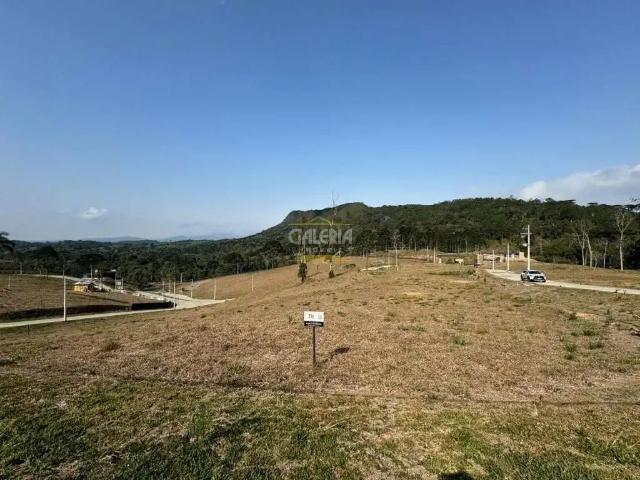 Terreno venda em Região Geográfica Imediata de São Bento do Sul-Rio Negrinho, Campo Alegre